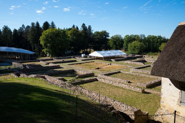 Peut-on faire des desserts aux fruits sans sucre pour une option minceur?