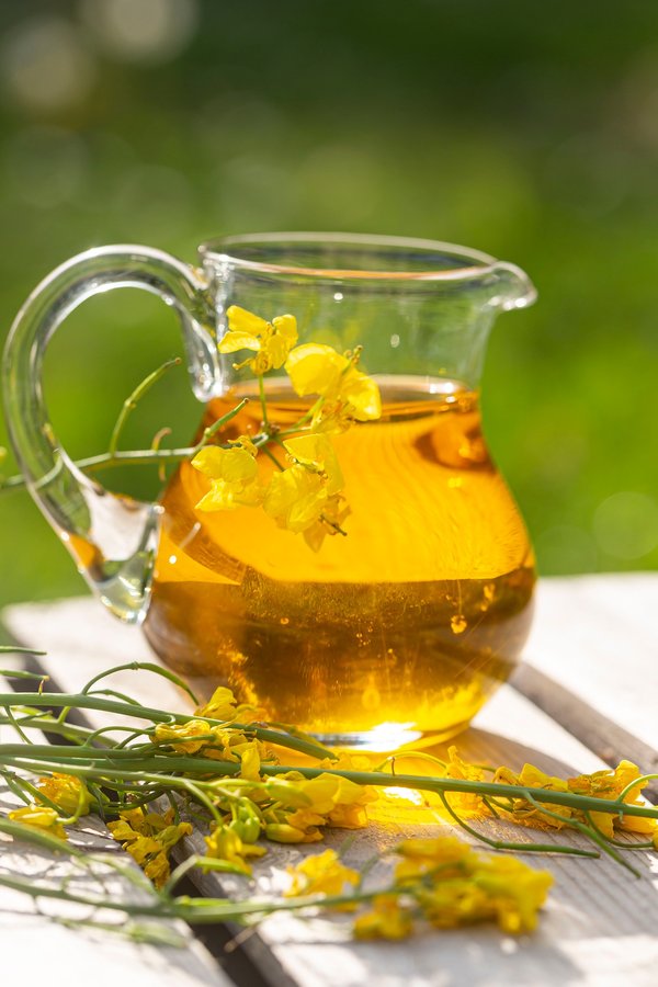 L'huile de colza bio : un allié santé dans votre cuisine